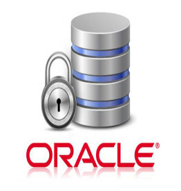 You are currently viewing Oracle Database